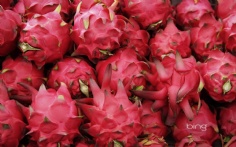 DragonFruit1920x120010-25-2011 2_04_50 PM Bing Desktop